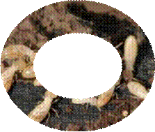 image002.gif